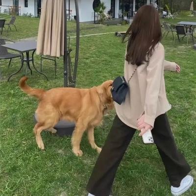 50英尺高的女人